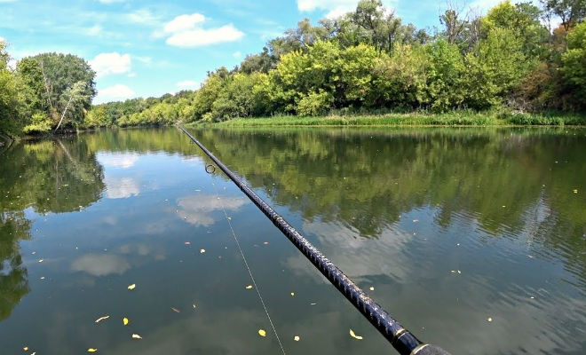 Рыбак закинул удочку и выловил окуня размером больше щуки Рыбак закинул удочку и выловил окуня размером больше щуки