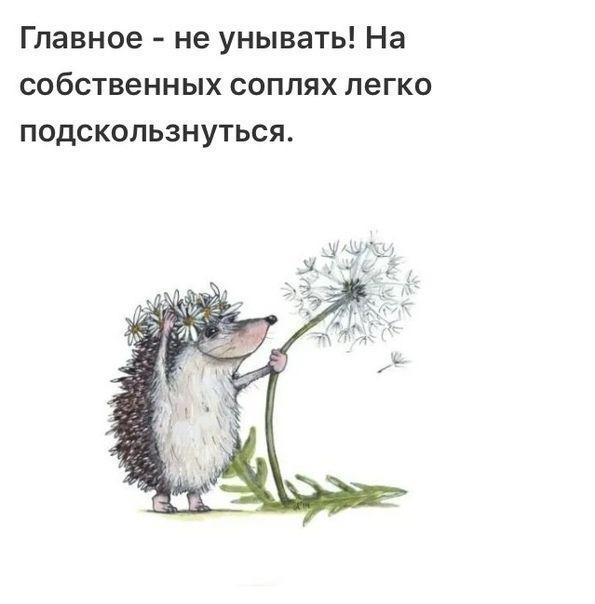 Тараканов в моей голове сожрала белочка Тараканов в моей голове сожрала белочка анекдоты,веселые картинки,демотиваторы,юмор