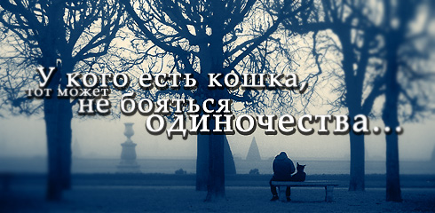 цитаты со смыслом и картинки с цитатами цитаты со смыслом и цитаты в картинках 63