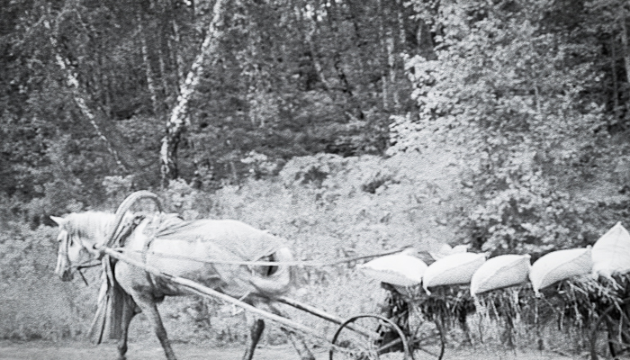 Соха и бомба Соха и бомба история