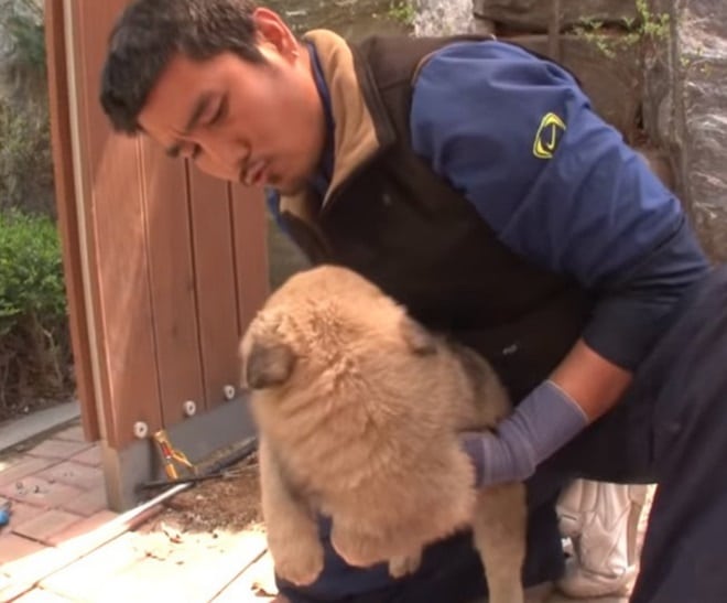 Щенок и мужчина