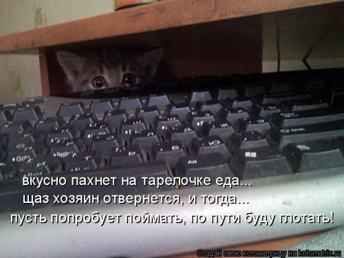 Лучшая котоматрица недели на 17 марта Лучшая котоматрица недели на 17 марта