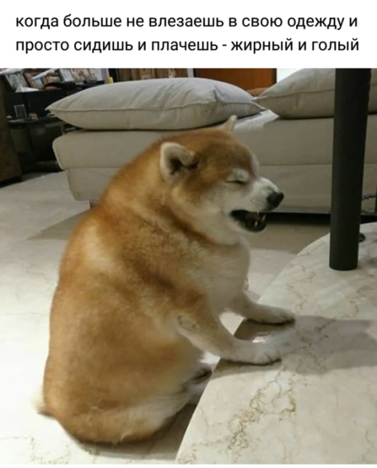 Подборка прикольных картинок Подборка прикольных картинок позитив