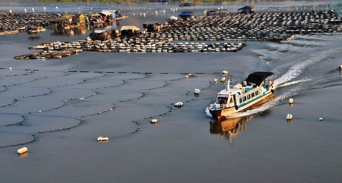 Морская промышленность очень развита в Китае. /Фото: animalworld.com.ua