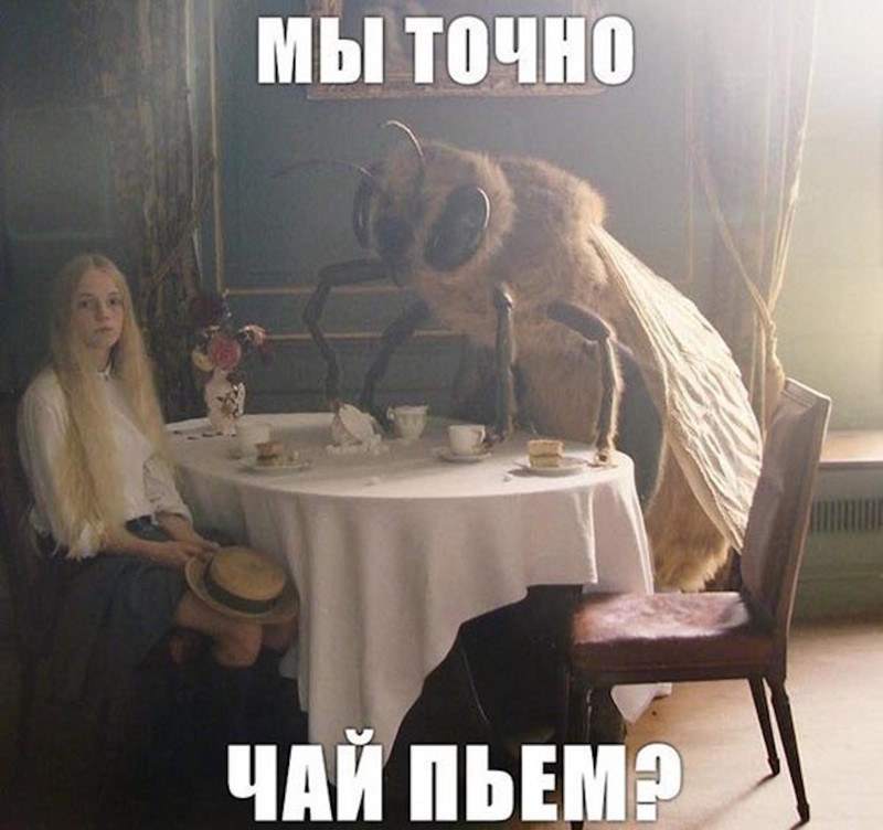 Ну, так, чисто поржать приколы, смех, юмор