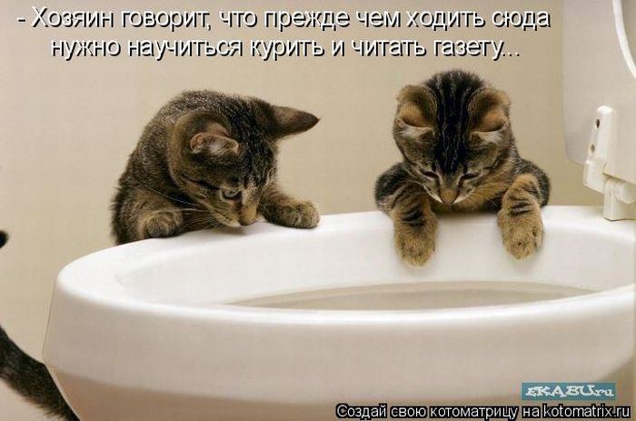Мысли вслух :)