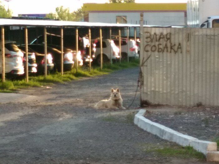 Когда очевидность становится очевидной Когда очевидность становится очевидной смешные картинки