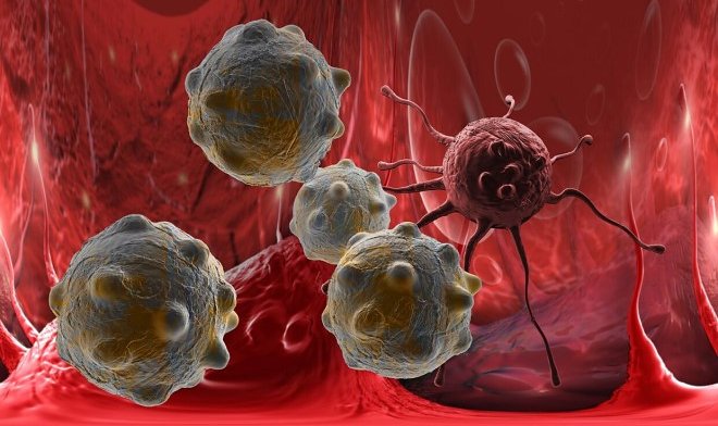 «Исследование в Сеченовском университете: возможности применения вирусов в борьбе с опухолями»