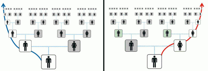принцип наследования y-днк и mt-днк между мужчинами и женщинами