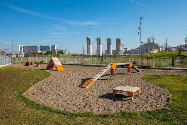 Собачники построили себе «площадку раздора»