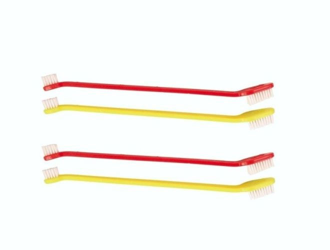 Чистка зубов собаке – выбор подходящего средства, правила чистки, особенности ультразвуковой процедуры наши любимцы,полезные советы