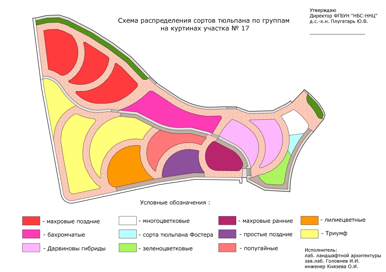 Карта никитского ботанического сада