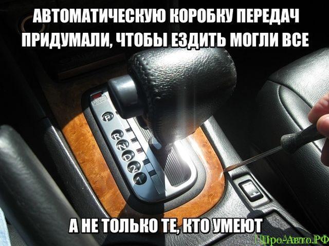 Посадил на ночь собаку охранять машину Посадил на ночь собаку охранять машину авто и мото