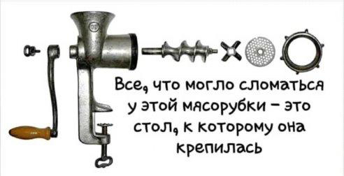 Тараканов в моей голове сожрала белочка Тараканов в моей голове сожрала белочка анекдоты,веселые картинки,демотиваторы,юмор