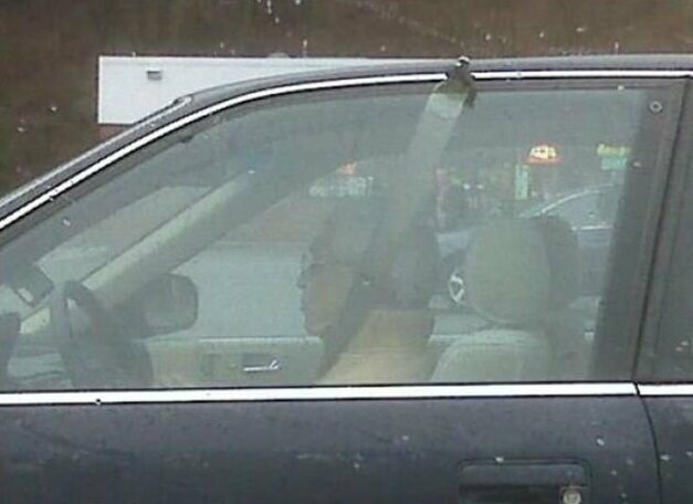 Мир глазами гаишника: о чём не принято говорить 