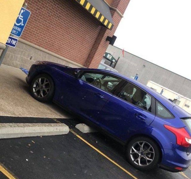 Фотоподборка четверга  