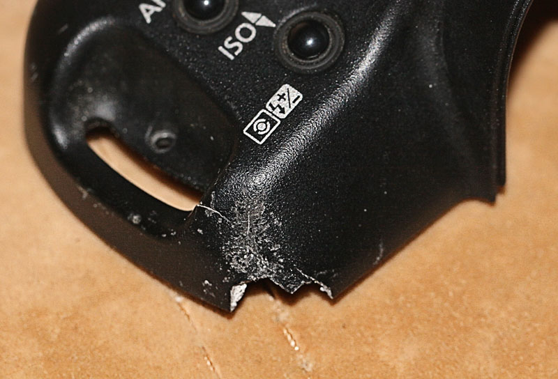 В логове летающих волков В логове летающих волков животные