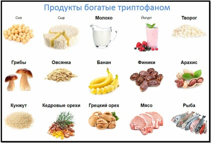 Триптофан содержится во многих продуктах, доступных каждому / Фото: zakluchenie.com