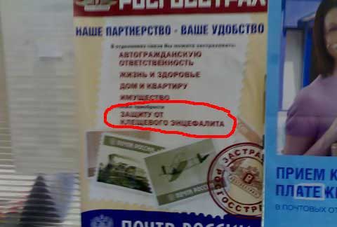 — Отправил я как-то на Новый год друзьям посылку с мандаринами и чурчхелой... картинки