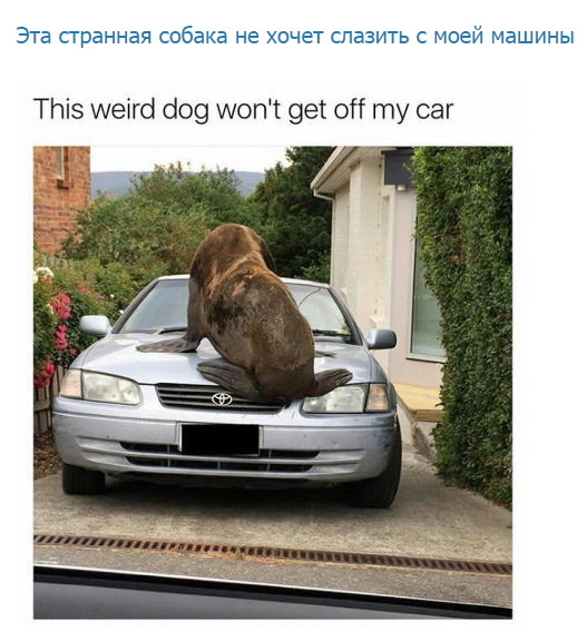 Смешные комментарии и высказывания из социальных сетей высказывания, комментарии, прикол