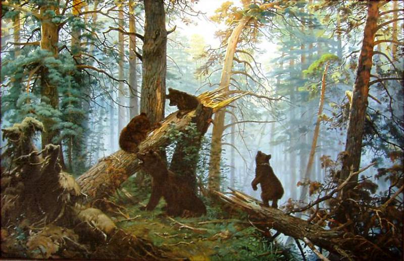 Заблудились в берёзках. Как в Минприроды считают наши несметные богатства россия