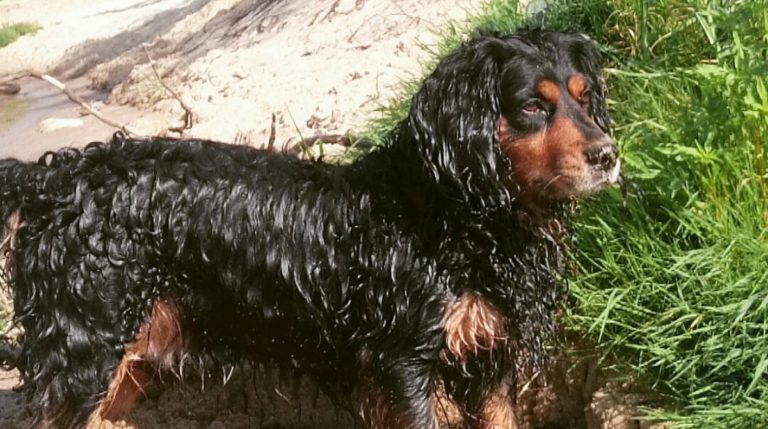 BeFunky-collage - 2020-02-08T101941.781