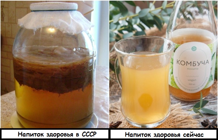 Чайный гриб настаивали в банке несколько дней