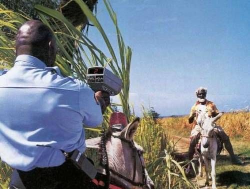 Забавно (40фоток)