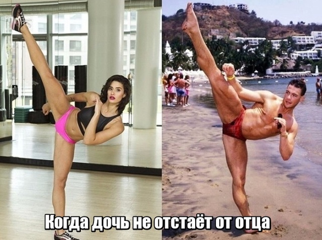 Подборка прикольных картинок  смешные картинки