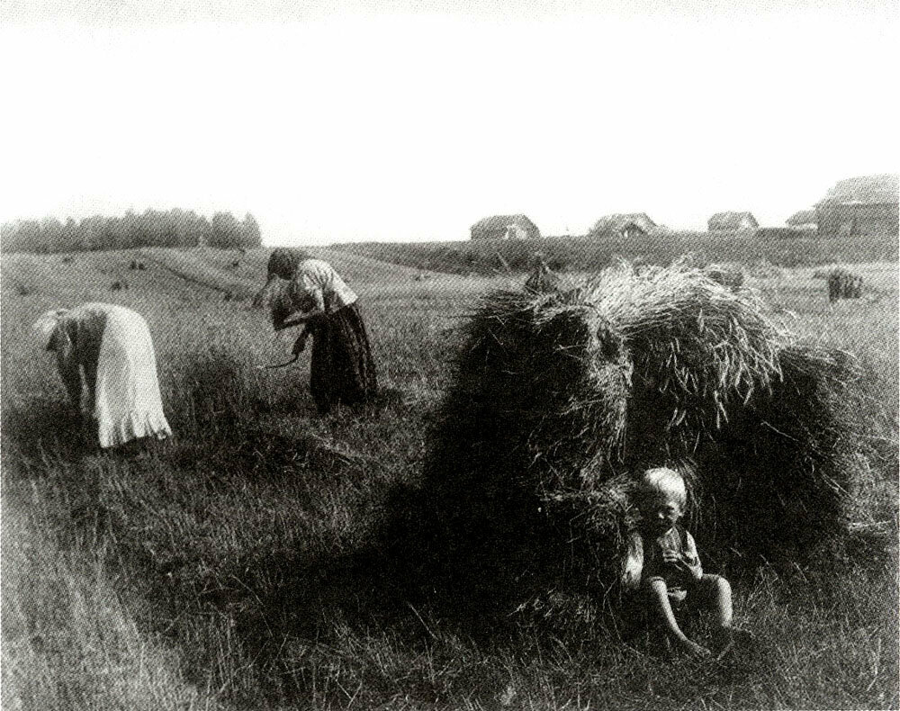 Жатва в поле. Владимирская губерния. 1910-е годы | Фото: Сергей Лобовиков