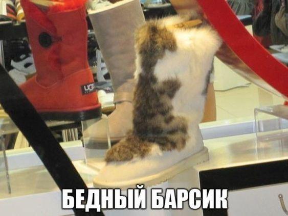 Сборная юмора для позитивного дня Сборная юмора для позитивного дня