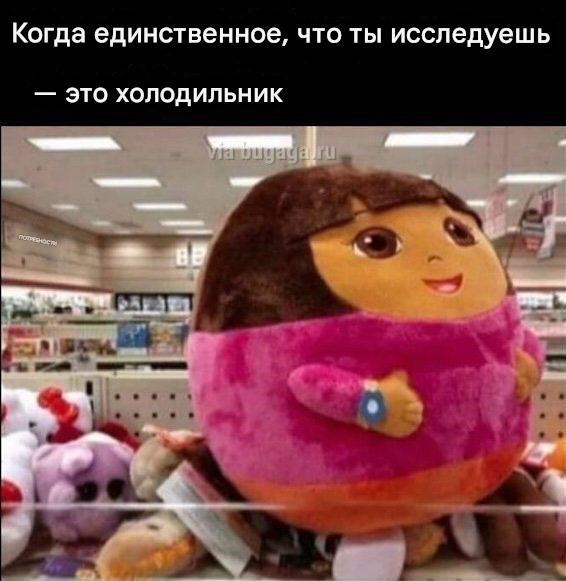 Не важно, с какой ноги ты встал. Главное, не на кота... Не важно, с какой ноги ты встал. Главное, не на кота...