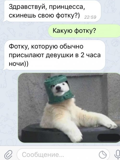 Свежие прикольные картинки Свежие прикольные картинки