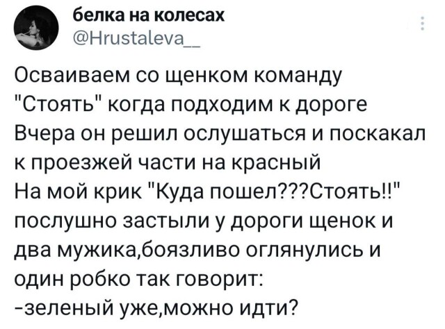 Прикольные твиты про продуктивность, чтение в дороге, сложные фамилии, выбор и многое другое 