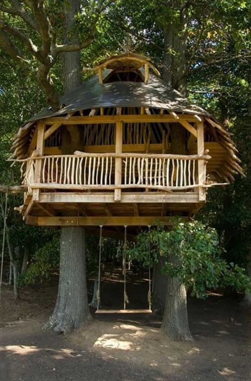 Дома на деревьях, о которых почти каждый мечтал в детстве 