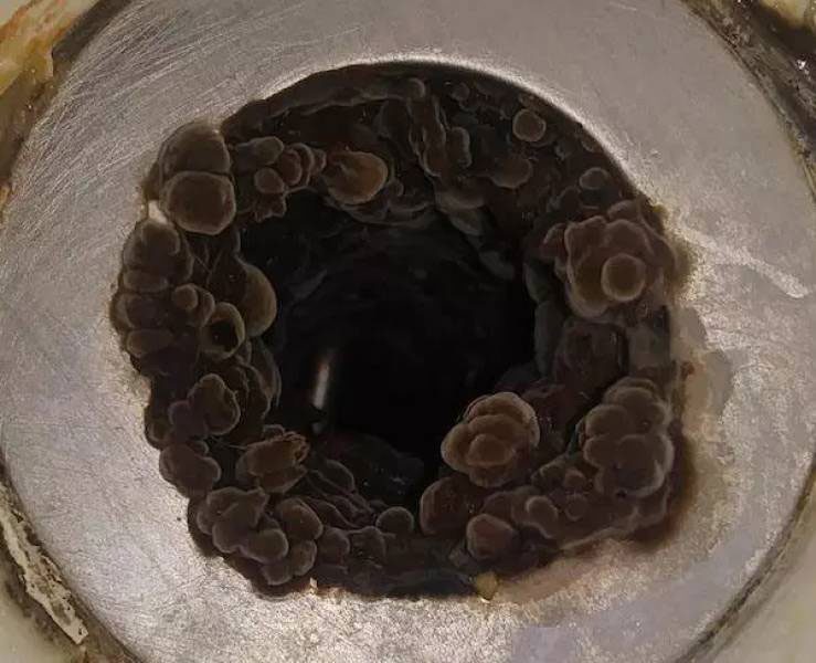 Чёрт побери, да что же это за хреновина? 