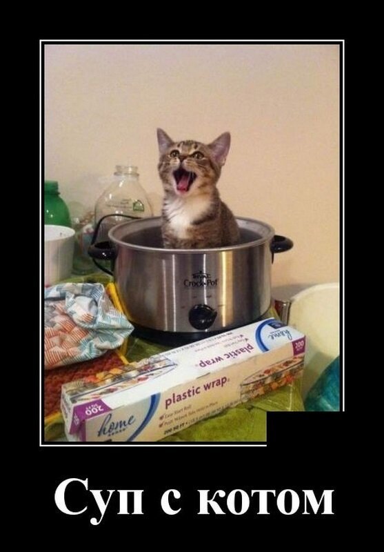 Подборка интересных и веселых картинок №51 Подборка интересных и веселых картинок №51 отдых