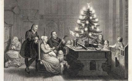 Так где родилась елочка? Лютер придумал, а Николай II запретил