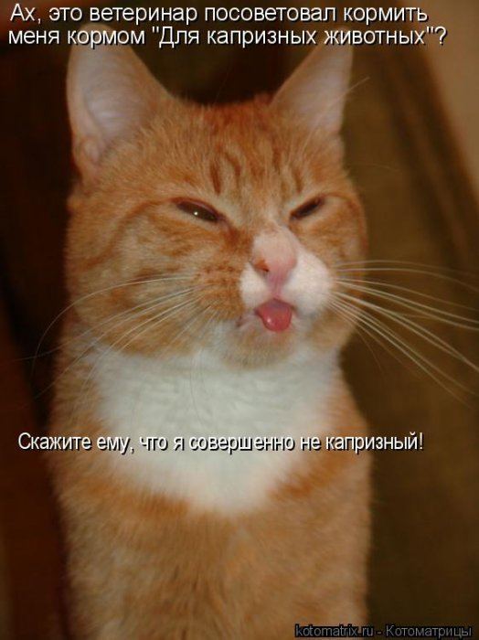 Мысли вслух :)
