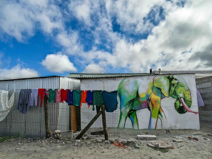 слоны граффити в Южной Африке