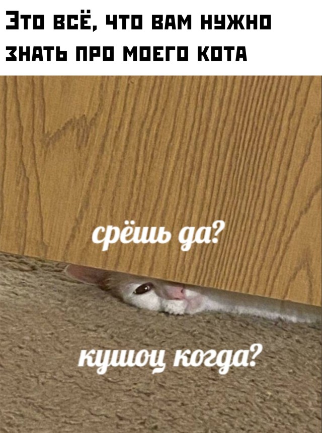 Подборка прикольных картинок.   приколы,смешные картинки,юмор