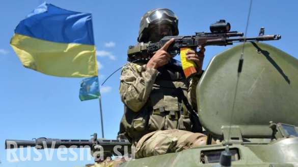 Киевские СМИ стали соучастниками преступления карателей на Донбассе (ВИДЕО) | Русская весна