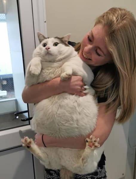 Подборка прикольных картинок  приколы,смешные картинки,юмор