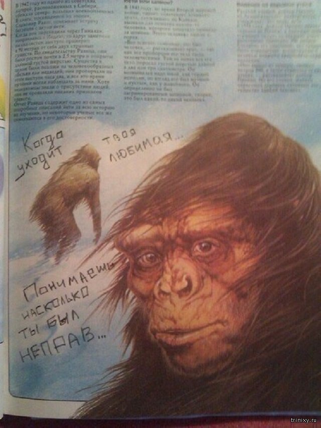 Нежных чувств пост Нежных чувств пост смешные картинки