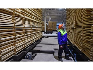 Лес рубят — деньги летят: почему стройматериалы так подорожали