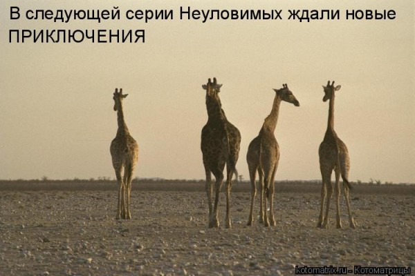 Мысли вслух :)