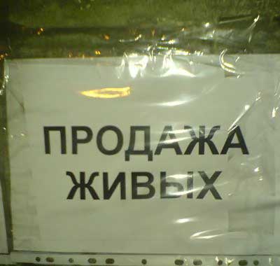 — Отправил я как-то на Новый год друзьям посылку с мандаринами и чурчхелой... картинки