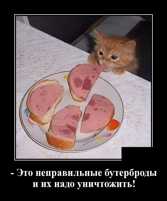 Подборка зачетных и классных демотиваторов для хорошего настроения со смыслом демотиваторы свежие,приколы,смешные демотиваторы,юмор