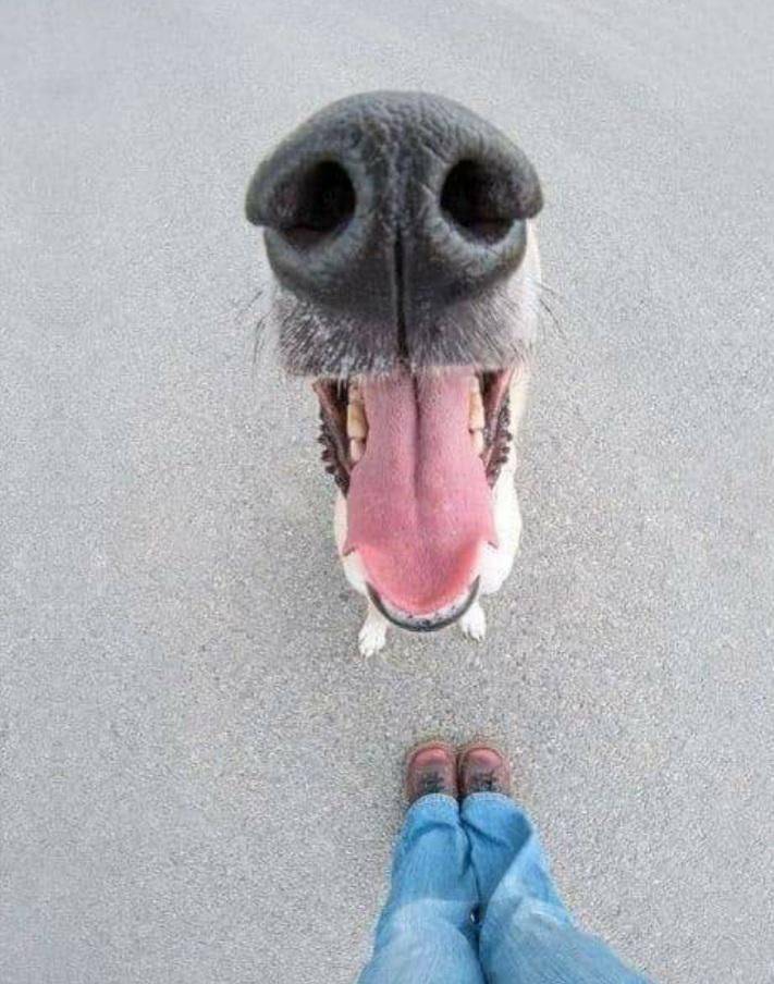 Подборка прикольных картинок.   приколы,смешные картинки,юмор