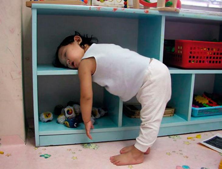 Милейший пост о самых сладких снах Милейший пост о самых сладких снах животные,Истории из жизни,позитив,Смешные животные